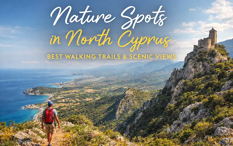 Explore the best nature spots in North Cyprus