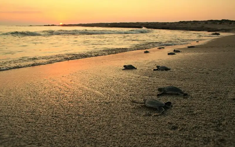 Best Beaches in Northern Cyprus